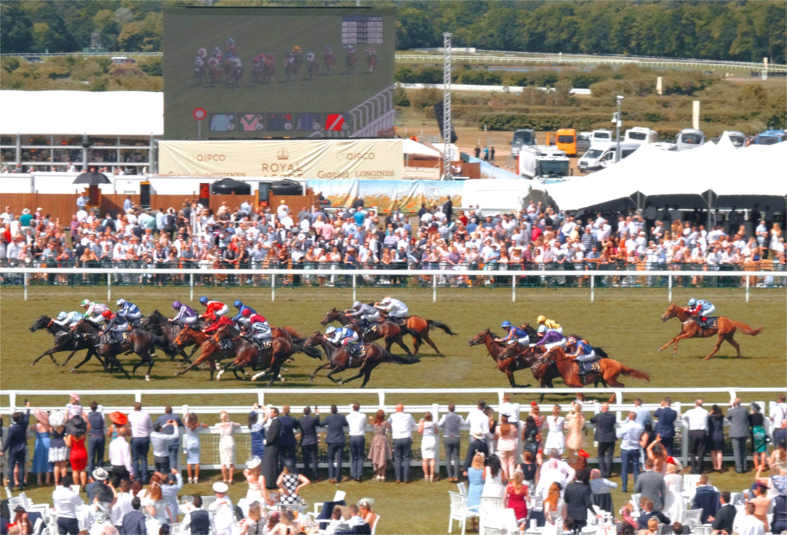 horses racing at royal ascot