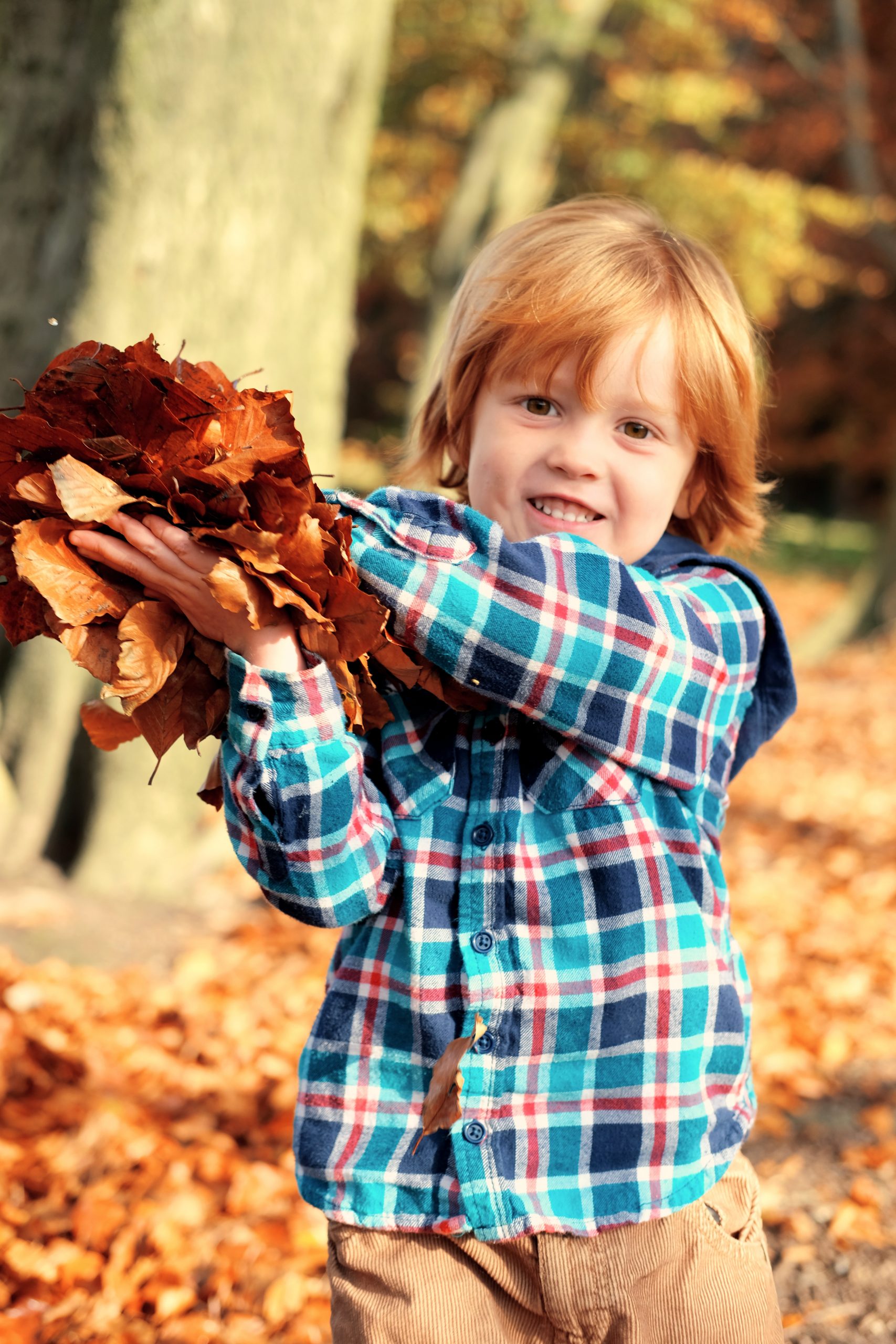 little boy throwing autumn leaves photoshoot lickey hills birmingham