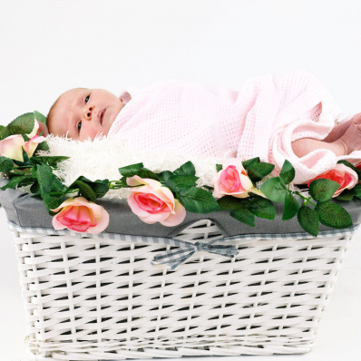 newborn girl studio photoshoot in basket worcestershire