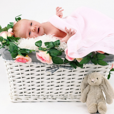 newborn girl studio photoshoot in basket worcestershire